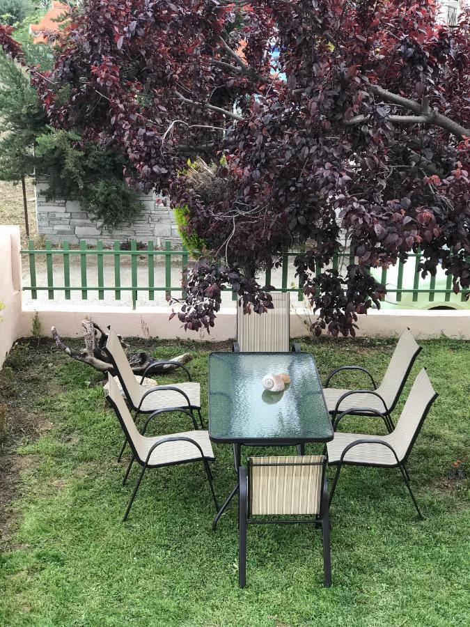 Dimitra'S And Nasia'S Villa Псакудія Екстер'єр фото